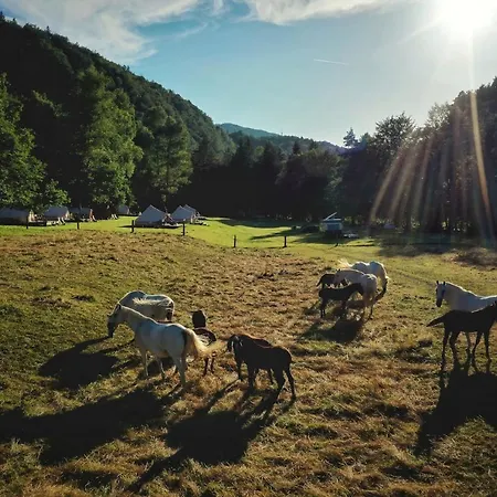 Eco River Camp Camping