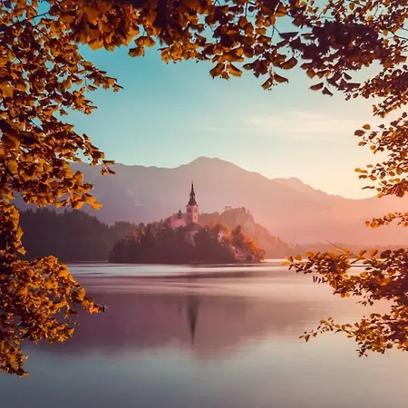 Eco River Camp Camping