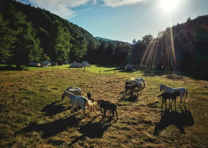 Eco River Camp Campingplads